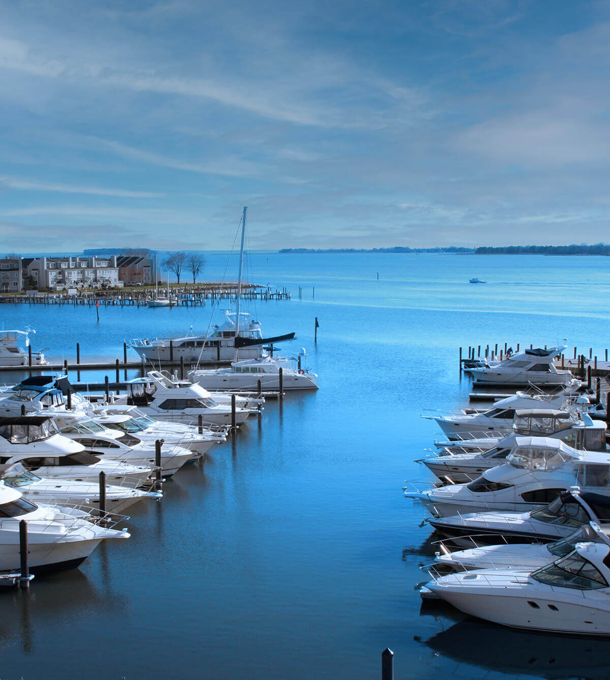 Marina in Kent Narrows